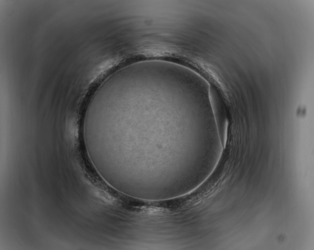 X0000098070539200804041127