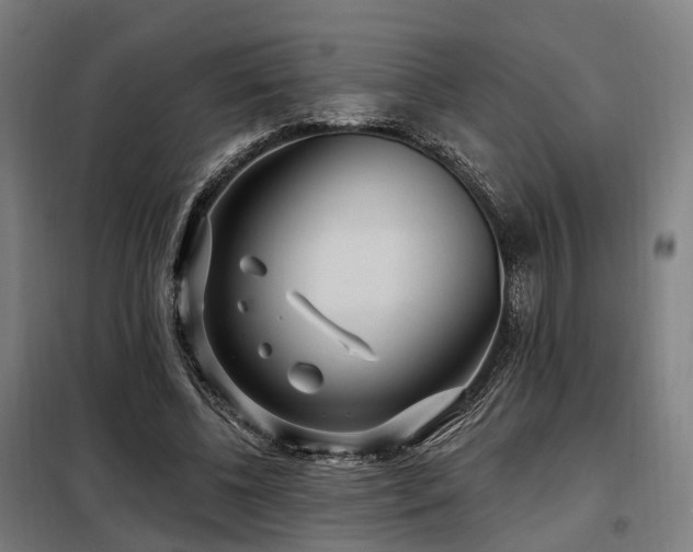 X0000098070540200804041127