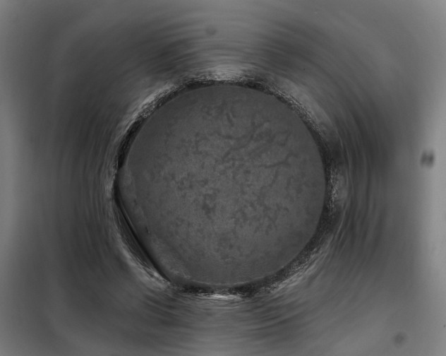 X0000098070542200804041127