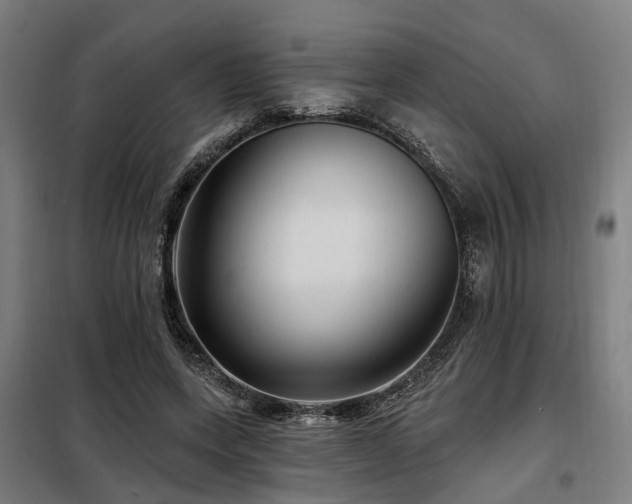 X0000098070543200804041127