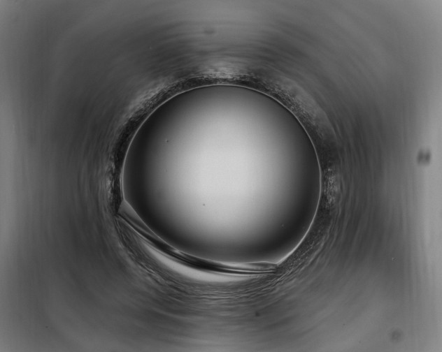 X0000098070544200804041127