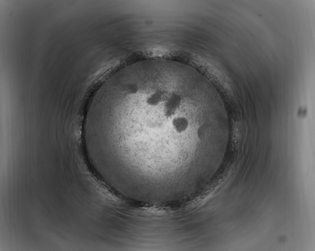 X0000098070545200804041127