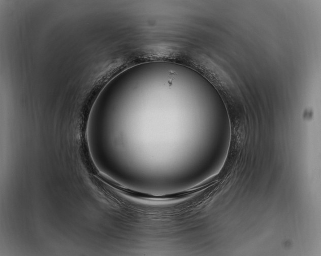 X0000098070546200804041127