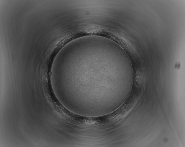 X0000098070547200804041127