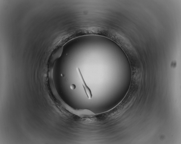 X0000098070548200804041127