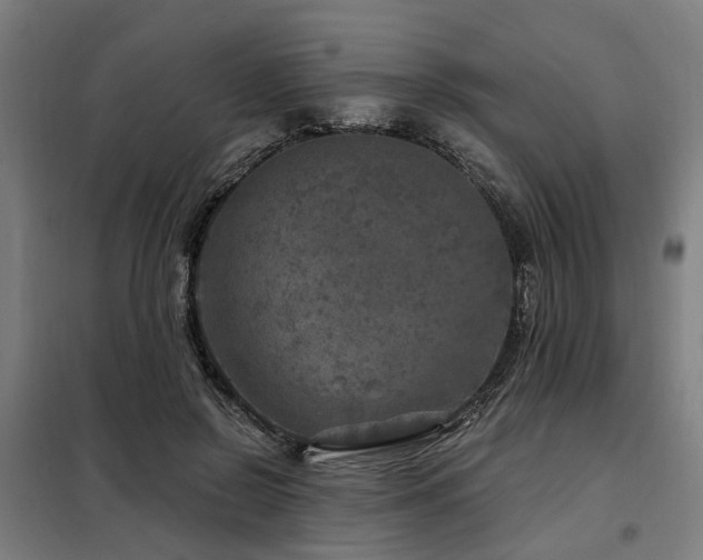 X0000098070550200804041127