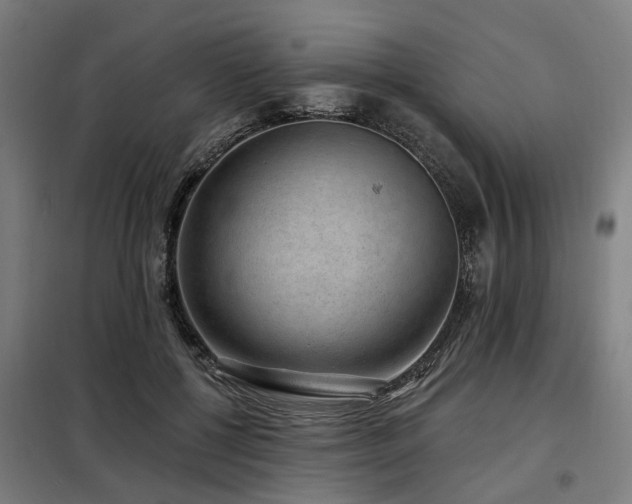 X0000098070552200804041127