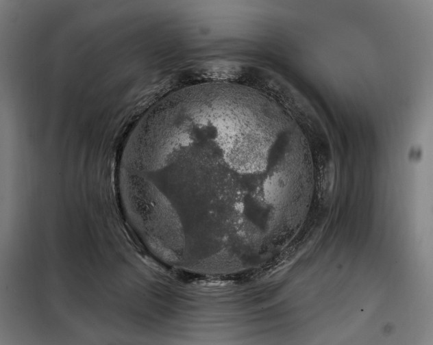 X0000098070553200804041127