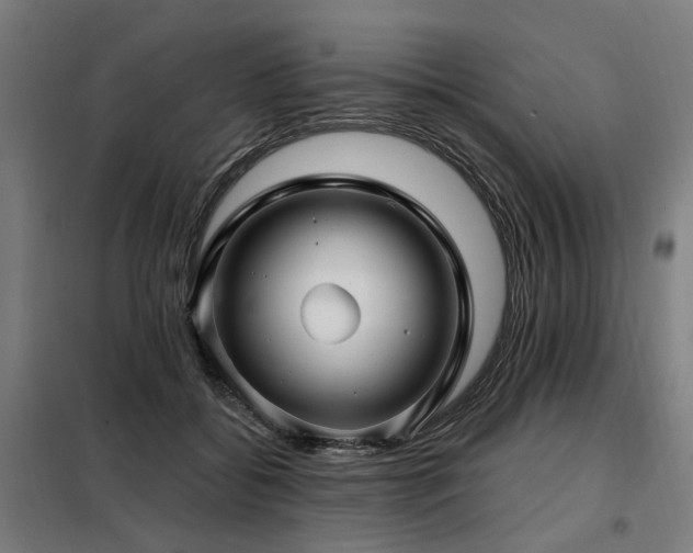 X0000098070556200804041127