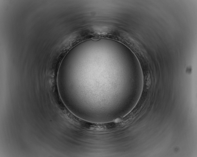 X0000098070559200804041127