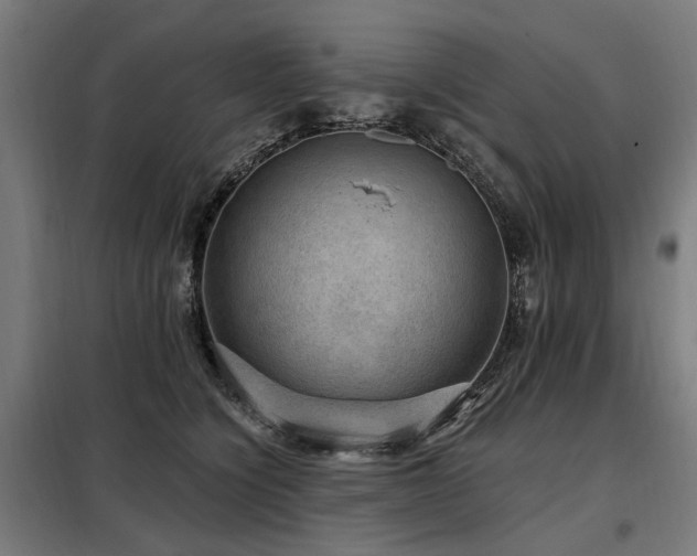 X0000098070564200804041127