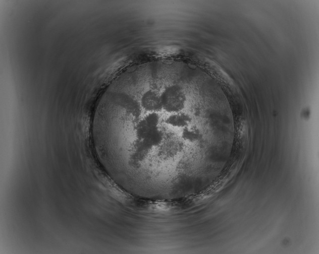 X0000098070565200804041127