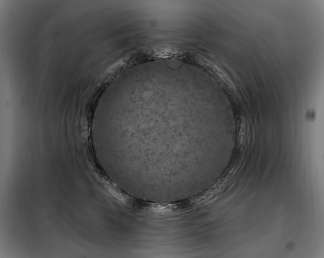 X0000098070569200804041127