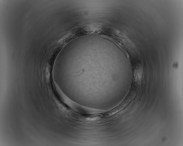 X0000098070570200804041128