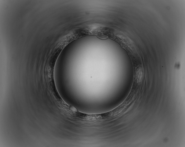 X0000098070571200804041128