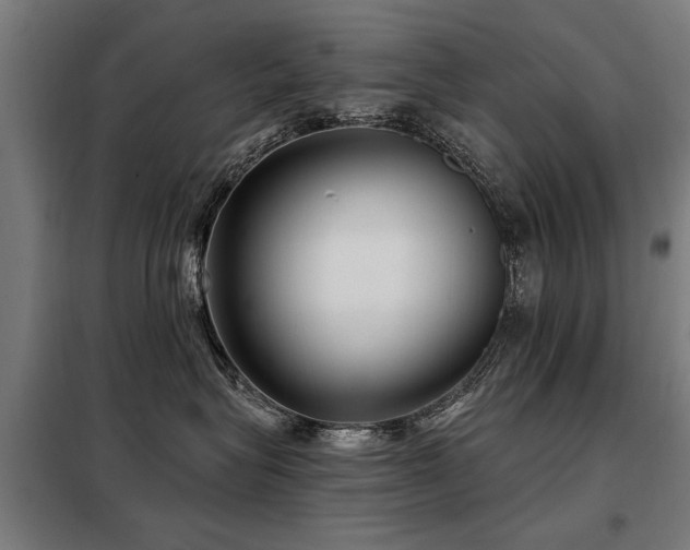 X0000098070575200804041128