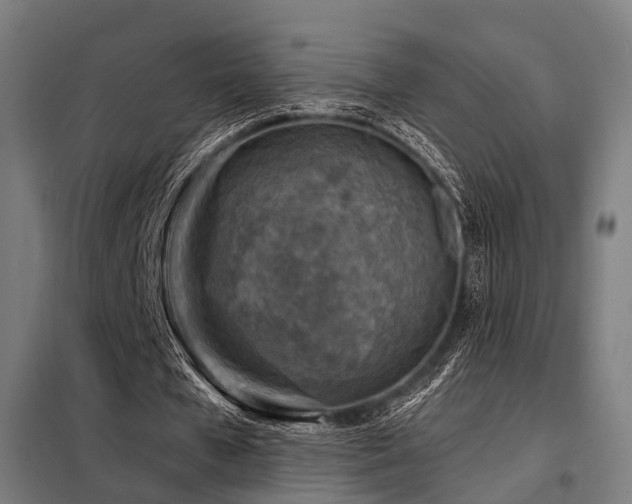 X0000098070577200804041127