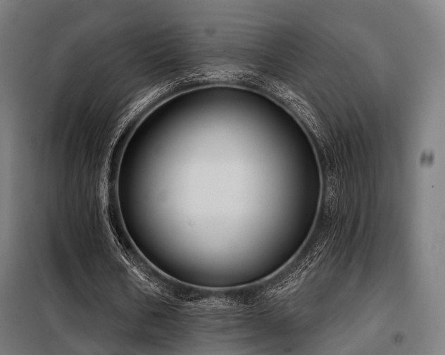 X0000098070578200804041127