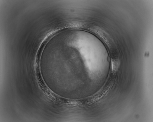 X0000098070579200804041127