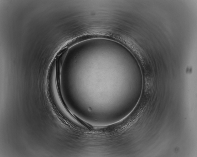 X0000098070580200804041127