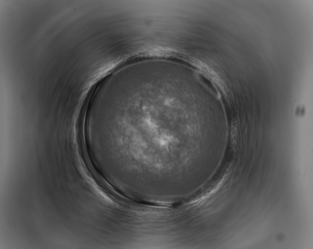 X0000098070581200804041127