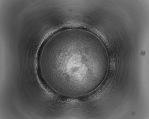 X0000098070582200804041127