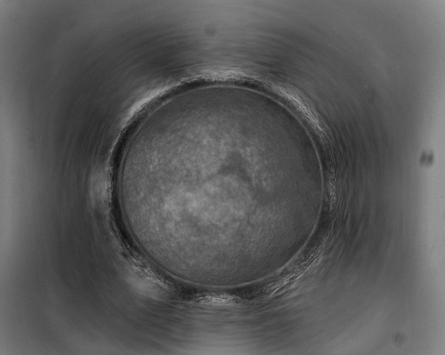 X0000098070583200804041127