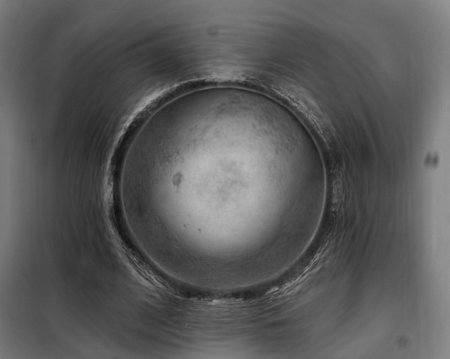 X0000098070584200804041127