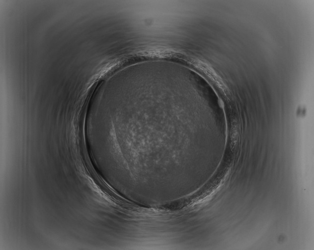 X0000098070585200804041127