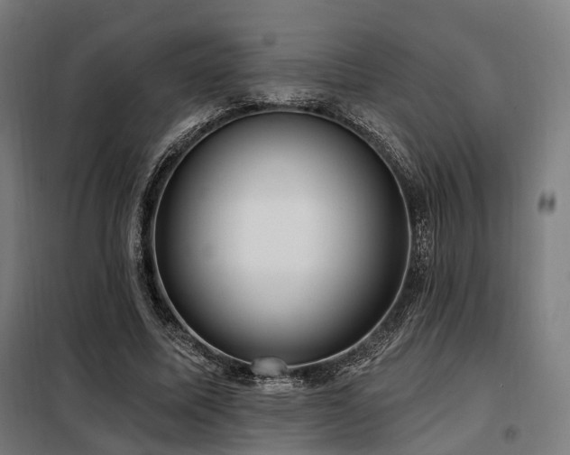 X0000098070587200804041127