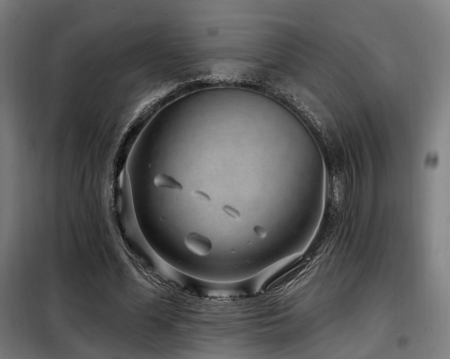 X0000098070588200804041127