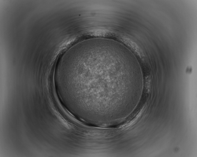 X0000098070589200804041127