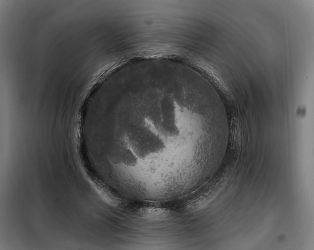 X0000098070590200804041127