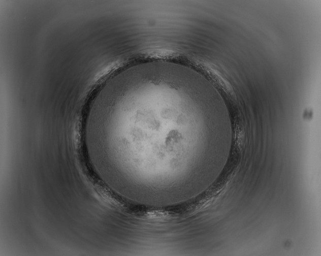 X0000098070591200804041127