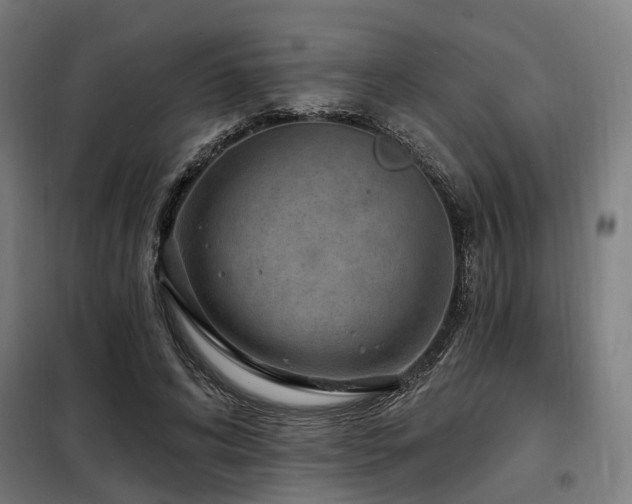 X0000098070592200804041127