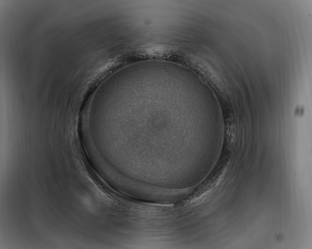 X0000098070593200804041127