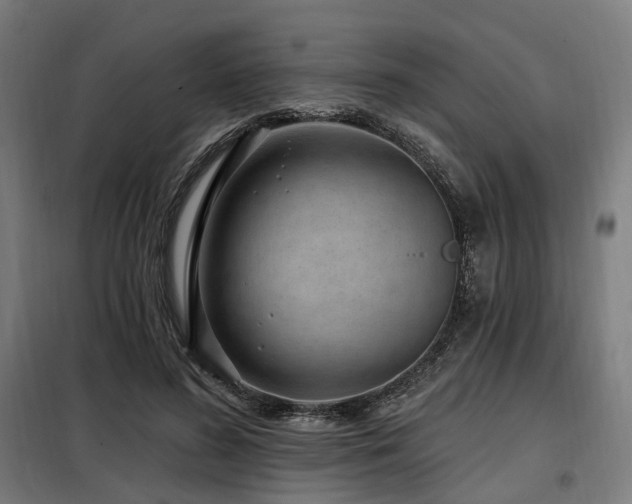 X0000098070596200804041126