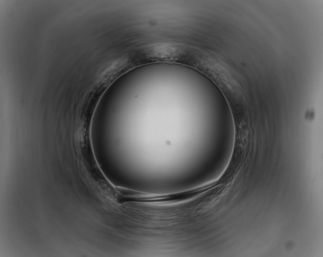 X0000098070597200804041126