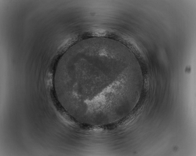 X0000098070598200804041126