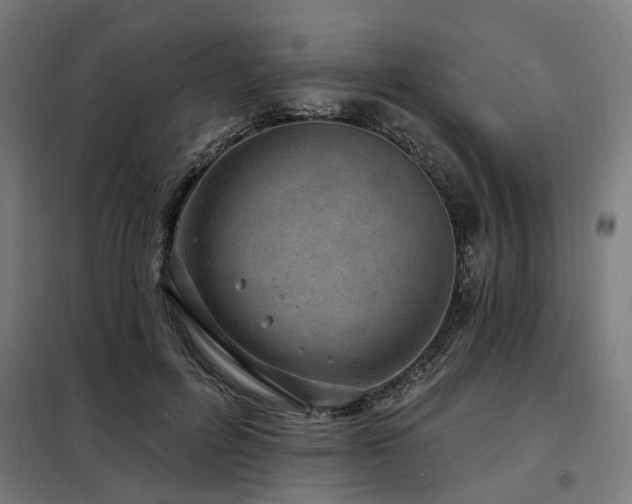 X0000098070600200804041126