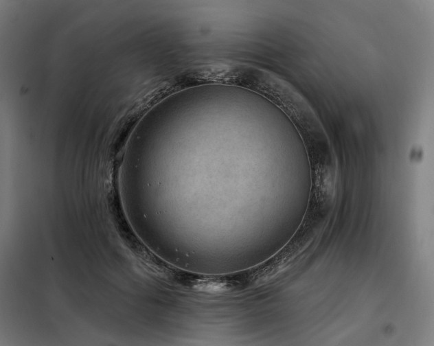 X0000098070602200804041126