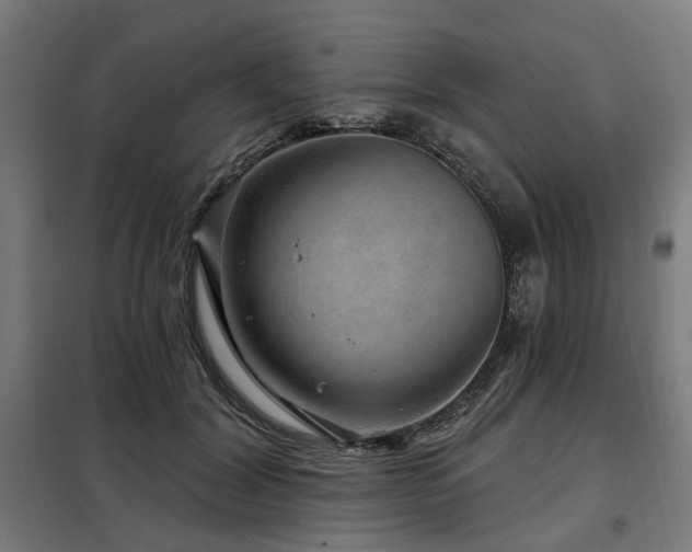 X0000098070604200804041126