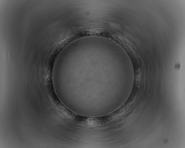 X0000098070608200804041126