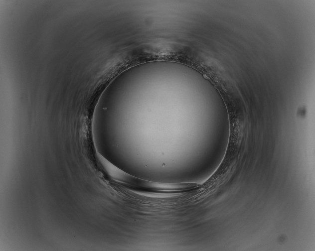 X0000098070612200804041126