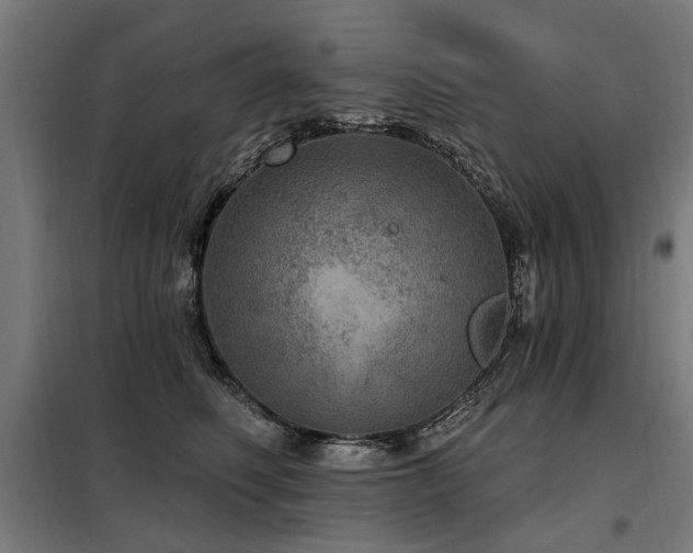 X0000098070614200804041126