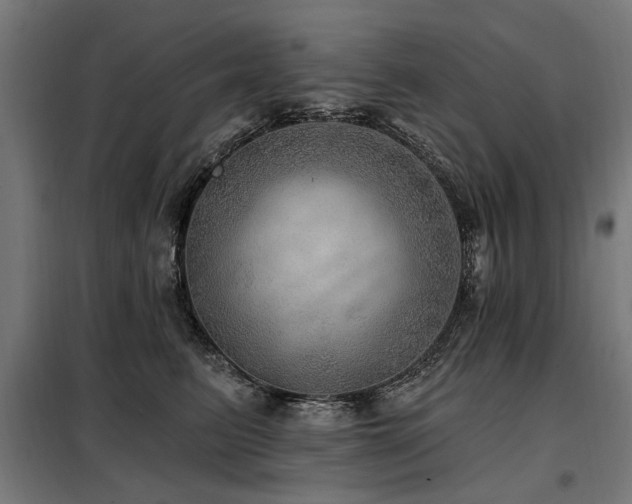 X0000098070615200804041126