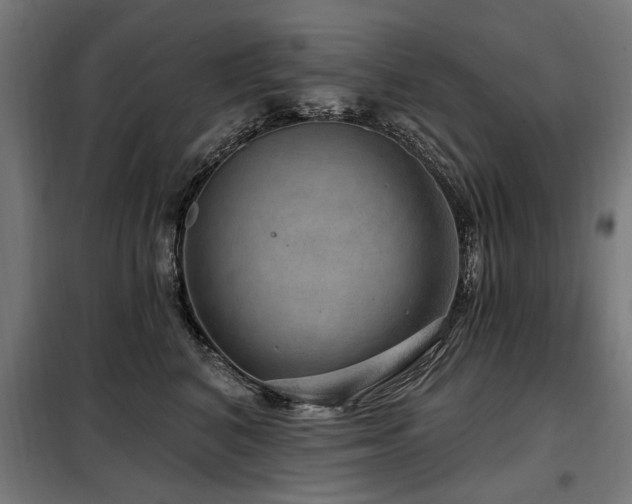 X0000098070616200804041126