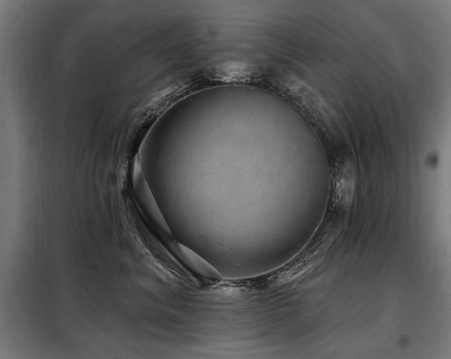 X0000098070620200804041126