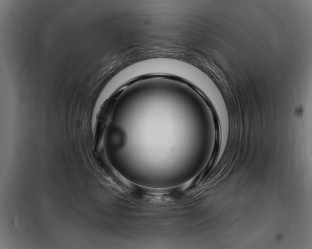 X0000098070621200804041126