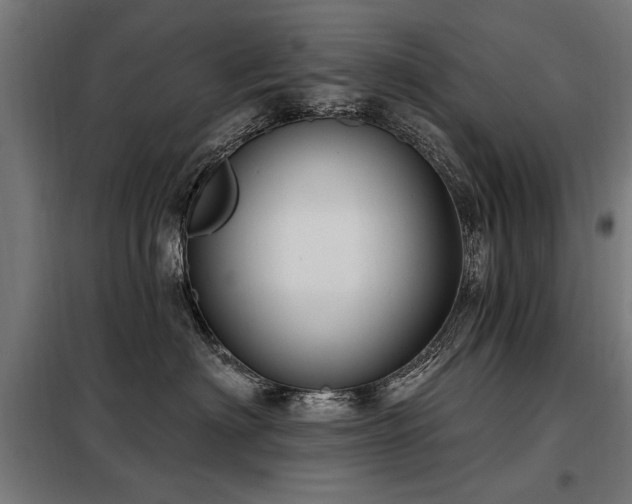 X0000098070622200804041126